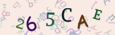 This is a captcha-picture. It is used to prevent mass-access by robots. (see: www.captcha.net)