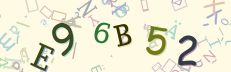This is a captcha-picture. It is used to prevent mass-access by robots. (see: www.captcha.net)