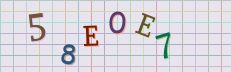 This is a captcha-picture. It is used to prevent mass-access by robots. (see: www.captcha.net)