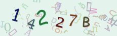 This is a captcha-picture. It is used to prevent mass-access by robots. (see: www.captcha.net)